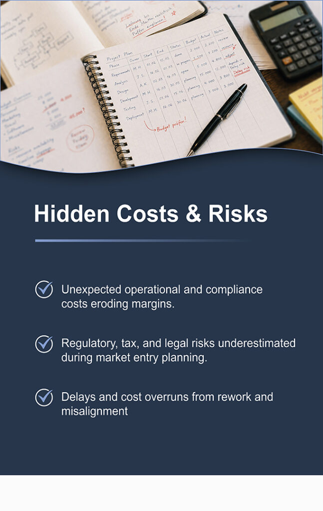 "Hidden Costs & Risks" — unexpected costs, underestimated regulatory/tax/legal risks, and delays from rework